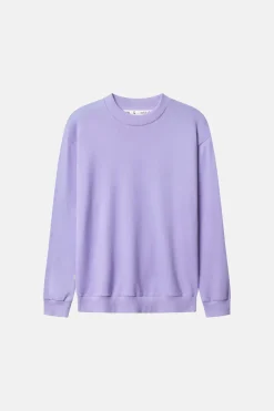 Colours & Sons Sweatshirt Made For All Of Us - Orchid*Herren Sweatshirts